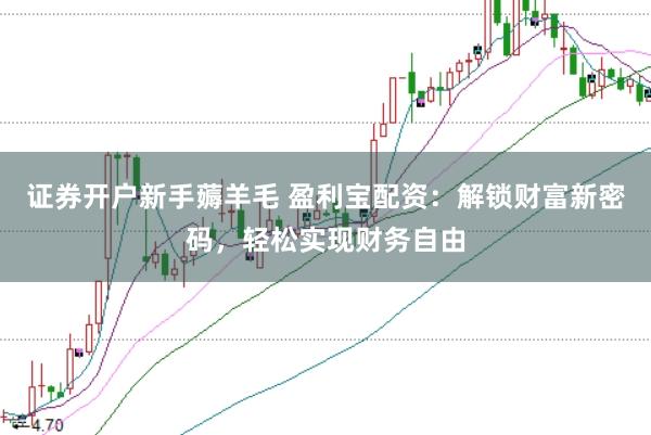 证券开户新手薅羊毛 盈利宝配资：解锁财富新密码，轻松实现财务自由