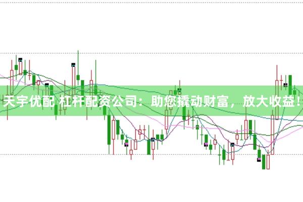 天宇优配 杠杆配资公司：助您撬动财富，放大收益！