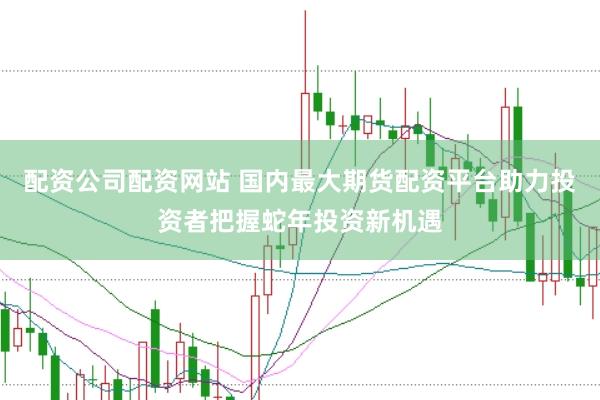 配资公司配资网站 国内最大期货配资平台助力投资者把握蛇年投资新机遇