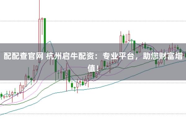 配配查官网 杭州启牛配资：专业平台，助您财富增值！