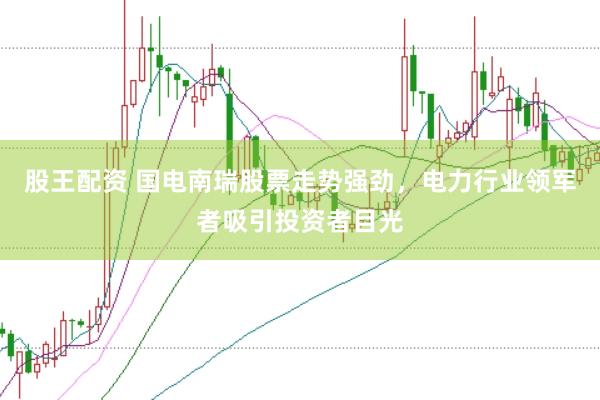 股王配资 国电南瑞股票走势强劲，电力行业领军者吸引投资者目光