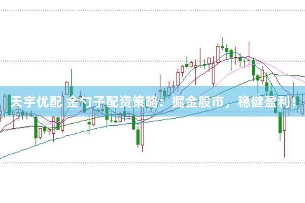 天宇优配 金勺子配资策略：掘金股市，稳健盈利！