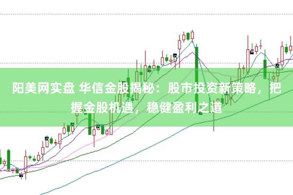 阳美网实盘 华信金股揭秘：股市投资新策略，把握金股机遇，稳健盈利之道