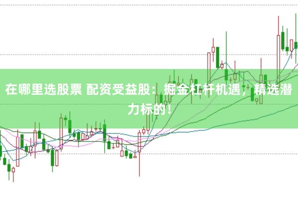 在哪里选股票 配资受益股：掘金杠杆机遇，精选潜力标的！