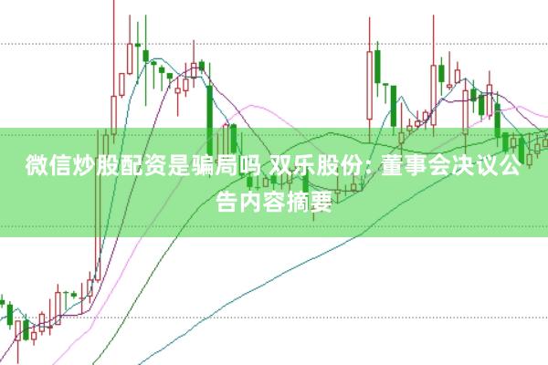 微信炒股配资是骗局吗 双乐股份: 董事会决议公告内容摘要