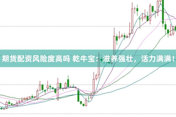 期货配资风险度高吗 乾牛宝：滋养强壮，活力满满！