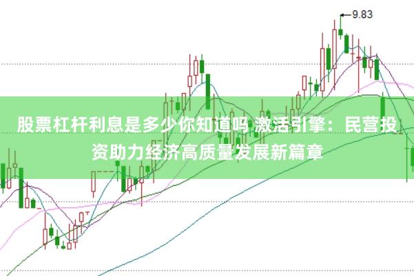 股票杠杆利息是多少你知道吗 激活引擎：民营投资助力经济高质量发展新篇章