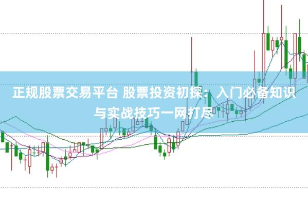 正规股票交易平台 股票投资初探：入门必备知识与实战技巧一网打尽