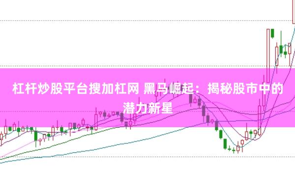杠杆炒股平台搜加杠网 黑马崛起：揭秘股市中的潜力新星