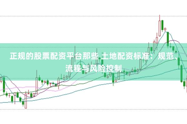 正规的股票配资平台那些 土地配资标准:规范、流程与风险控制