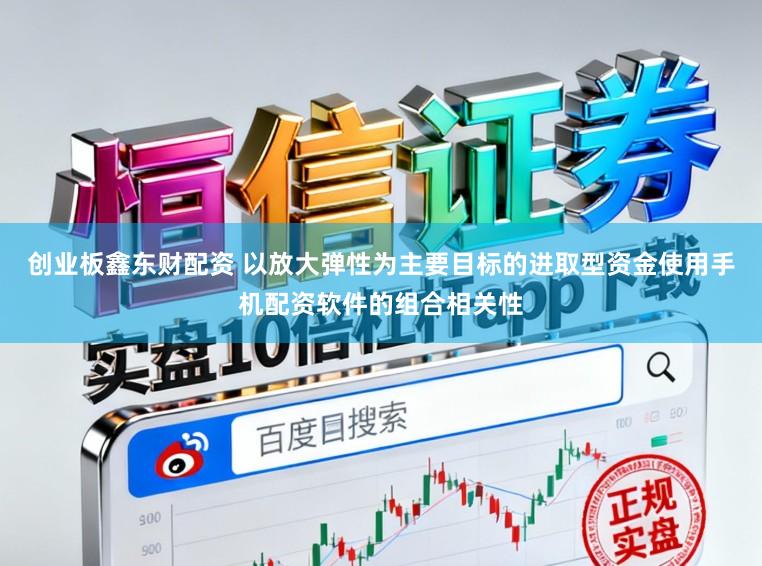 创业板鑫东财配资 以放大弹性为主要目标的进取型资金使用手机配资软件的组合相关性