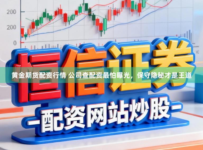 黄金期货配资行情 公司查配资最怕曝光,保守隐秘才是王道